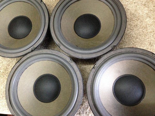 Eckman woofers to refoam